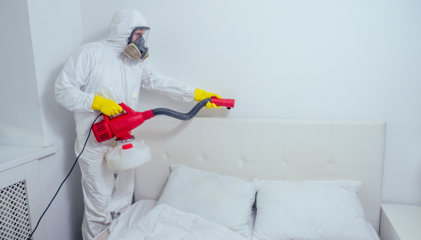 Réparations - Quel est le tarif d'un traitement contre les punaises de lit avec un exterminateur à vapeur ?